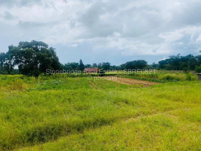 Stand for Sale in Trenance, Bulawayo