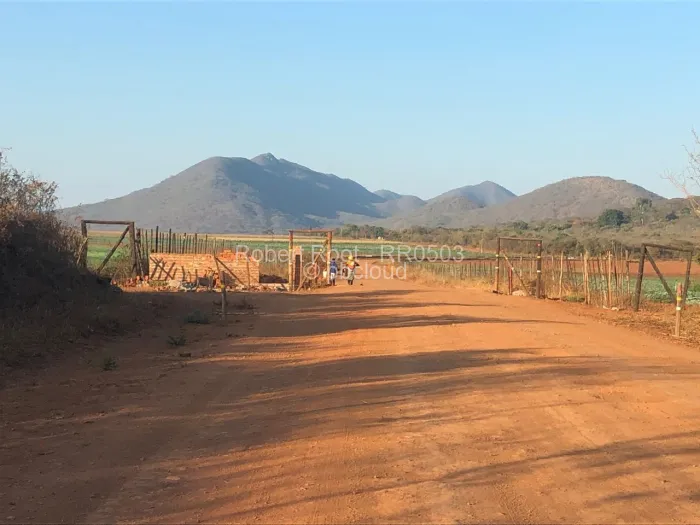 Land for Sale in Masvingo, Masvingo