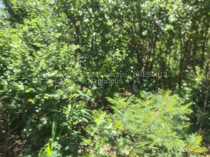 Farm/Plot for Sale in Nyamandlovu, Bulawayo