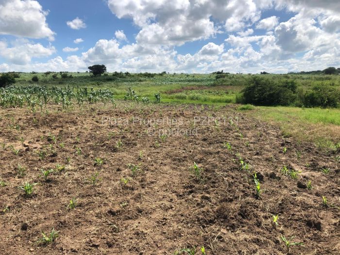 Commercial Stand for Sale in Karoi, Karoi