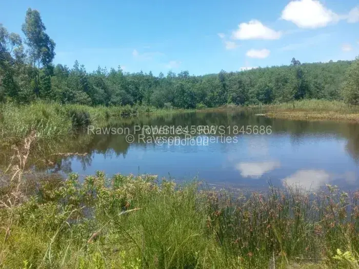 Farm/Plot for Sale in Nyanga, Nyanga