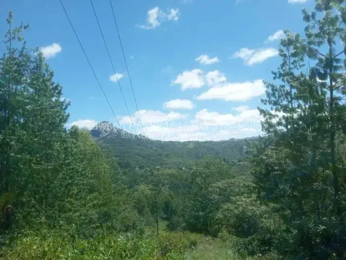 Farm/Plot for Sale in Nyanga, Nyanga