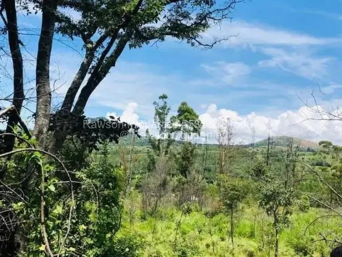 Farm/Plot for Sale in Nyanga, Nyanga