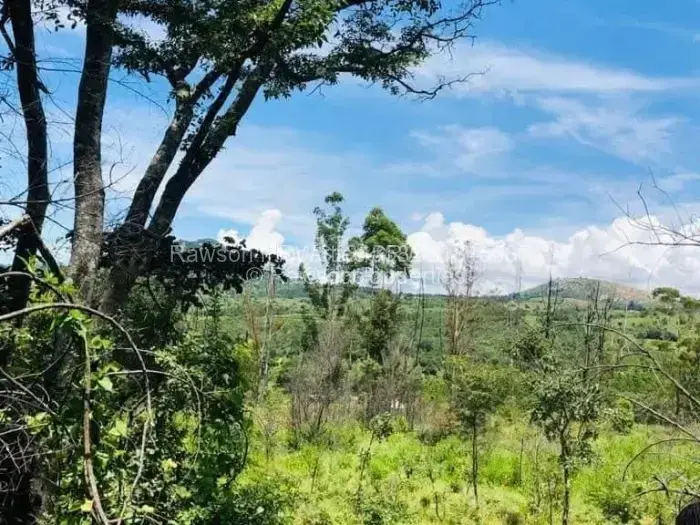 Farm/Plot for Sale in Nyanga, Nyanga