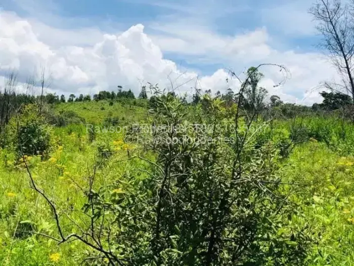 Farm/Plot for Sale in Nyanga, Nyanga