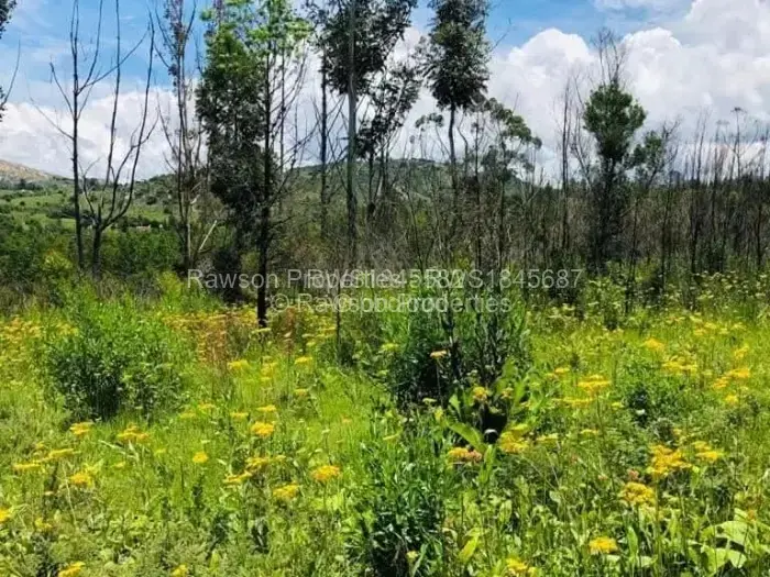 Farm/Plot for Sale in Nyanga, Nyanga