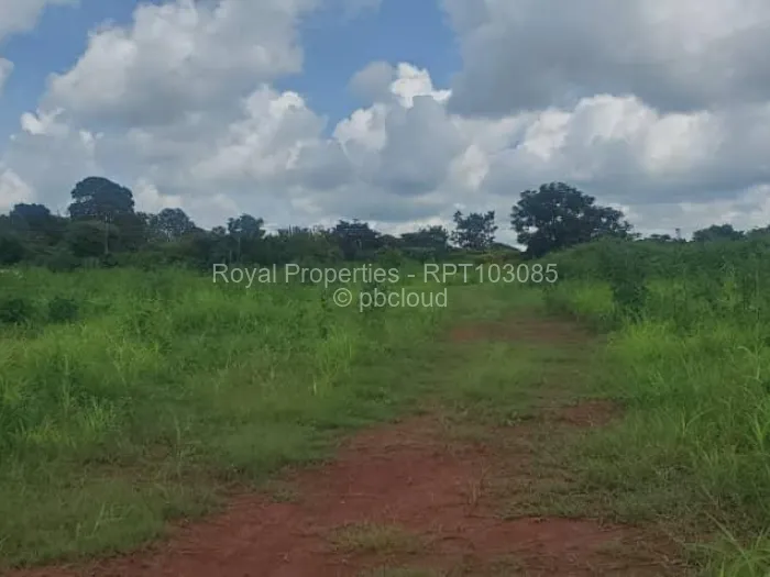 Land for Sale in Quinnington, Harare