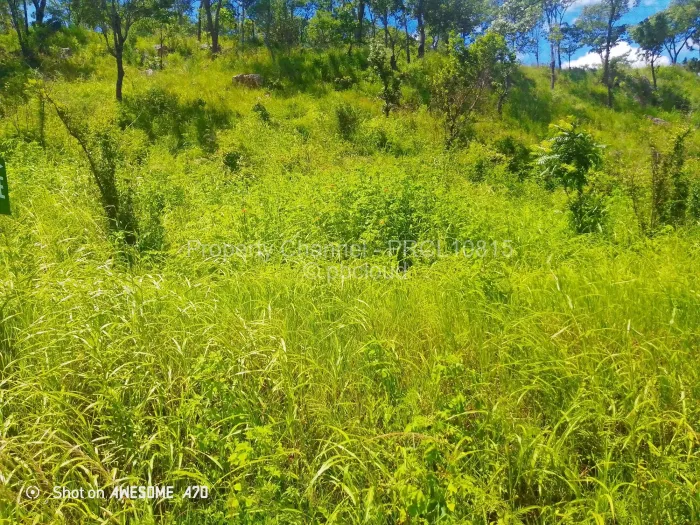 Stand for Sale in Carrick Creagh Estate, Harare