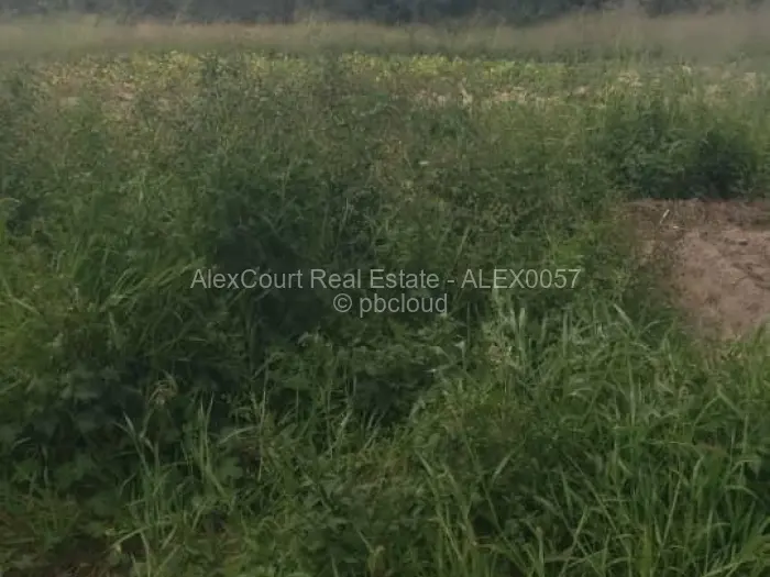 Farm/Plot for Sale in Ruwa, Ruwa