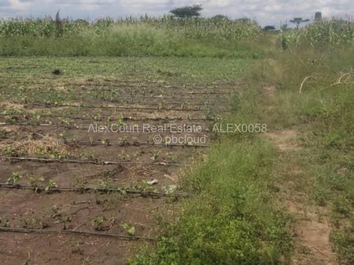 Farm/Plot for Sale in Norton, Norton