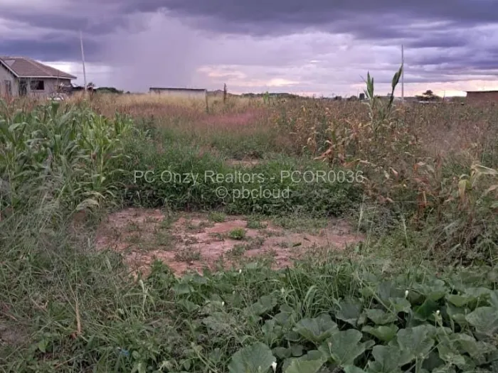 Stand for Sale in Whitecliff, Harare