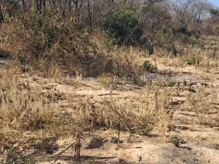 Farm/Plot for Sale in Kadoma, Kadoma