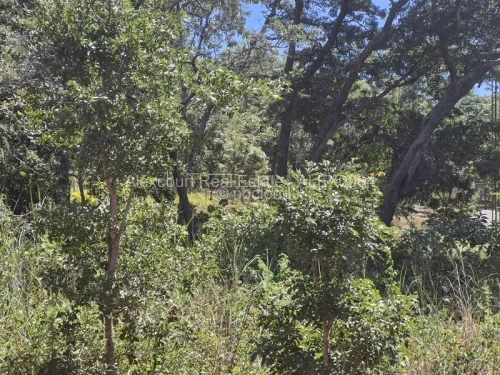 Land for Sale in Shawasha Hills, Harare