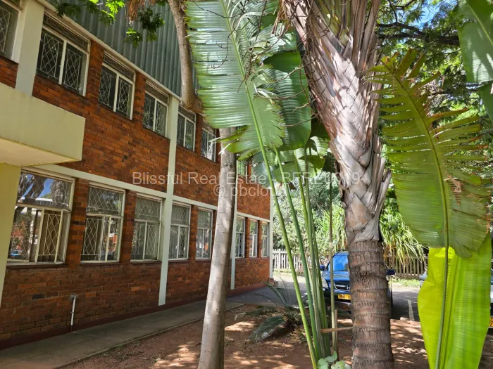 Industrial Property to Rent in Bluff Hill, Harare