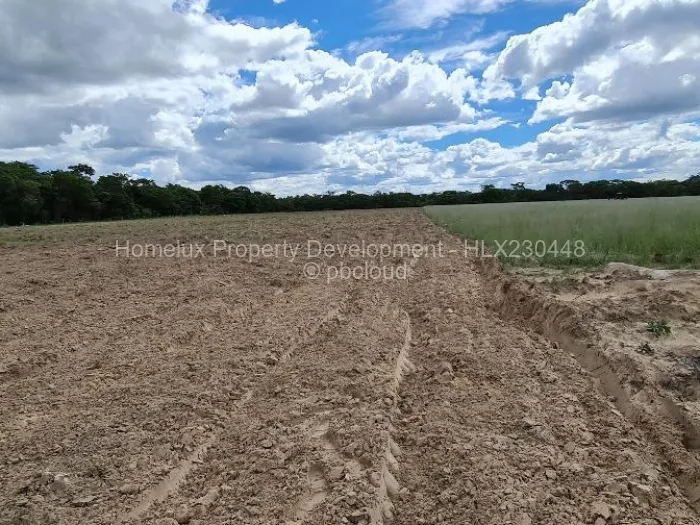 Farm/Plot for Sale in Beatrice, Beatrice