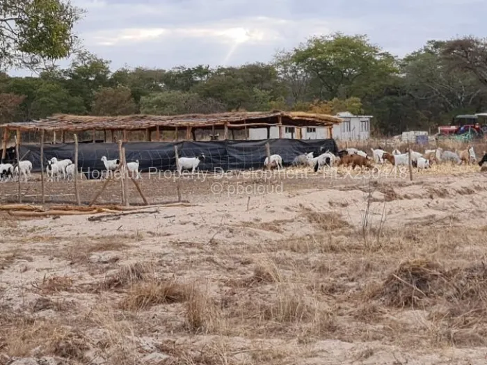 Farm/Plot for Sale in Beatrice, Beatrice