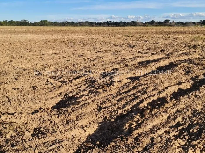 Farm/Plot for Sale in Beatrice, Beatrice