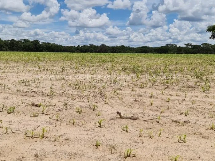 Farm/Plot for Sale in Beatrice, Beatrice