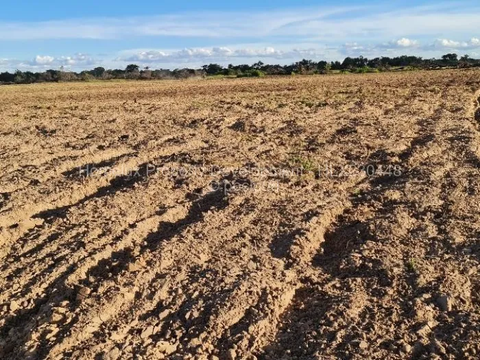 Farm/Plot for Sale in Beatrice, Beatrice