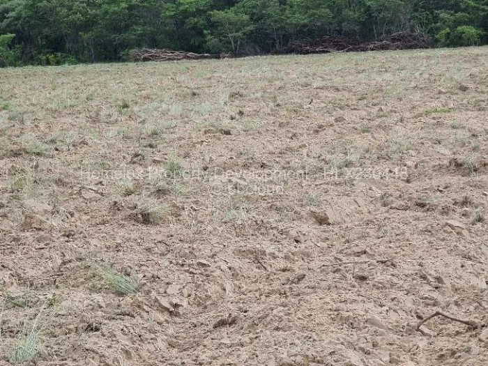 Farm/Plot for Sale in Beatrice, Beatrice