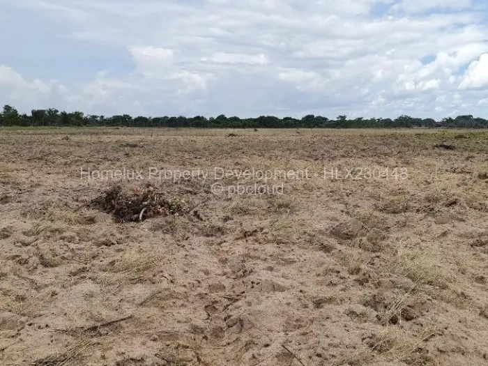 Farm/Plot for Sale in Beatrice, Beatrice