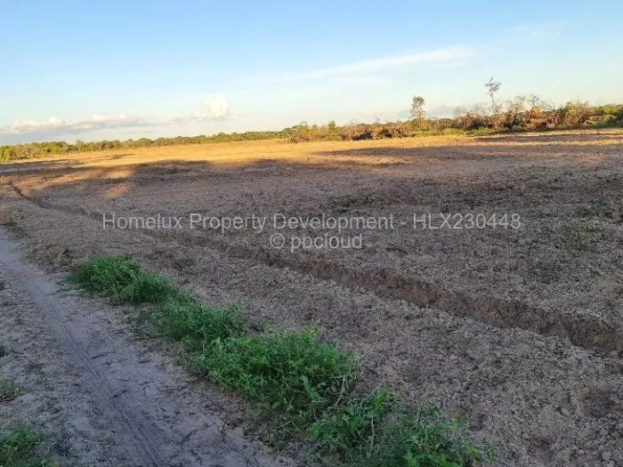 Farm/Plot for Sale in Beatrice, Beatrice