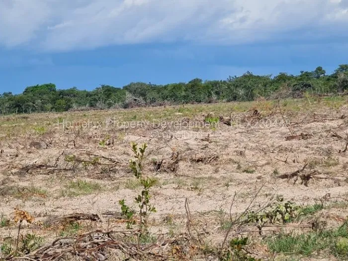 Farm/Plot for Sale in Beatrice, Beatrice