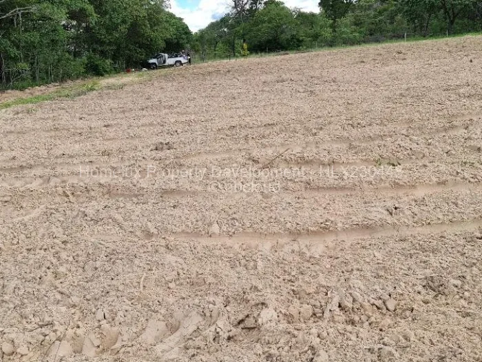 Farm/Plot for Sale in Beatrice, Beatrice