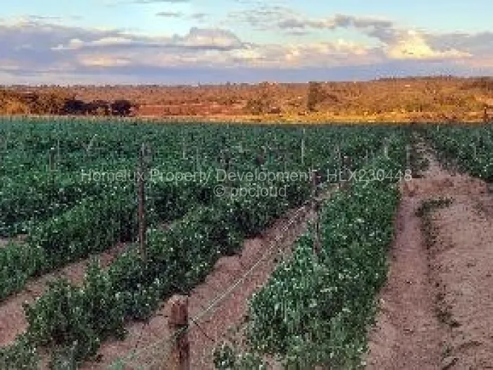 Farm/Plot for Sale in Beatrice, Beatrice