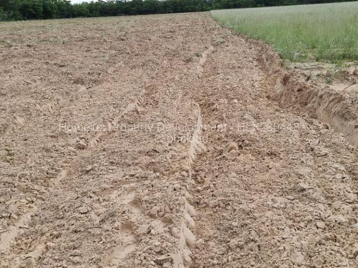 Farm/Plot for Sale in Beatrice, Beatrice