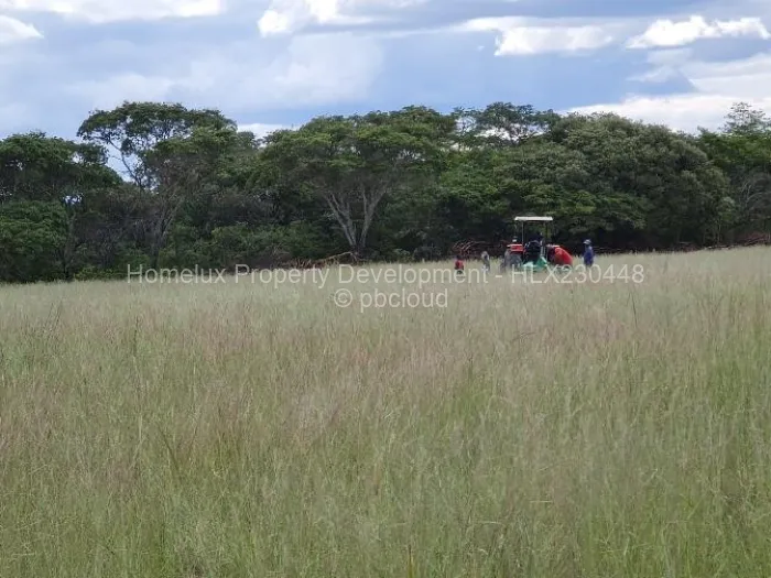 Farm/Plot for Sale in Beatrice, Beatrice