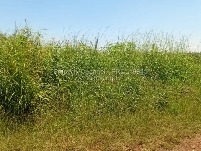 Stand for Sale in Haydon Park, Mazowe
