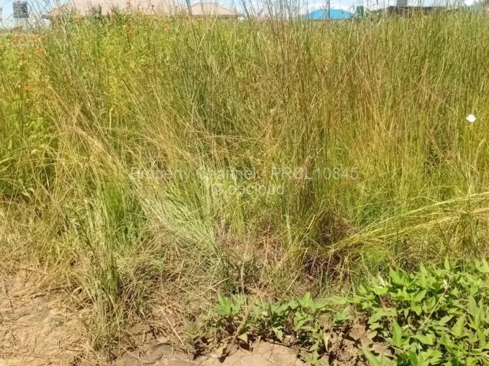 Stand for Sale in Haydon Park, Mazowe