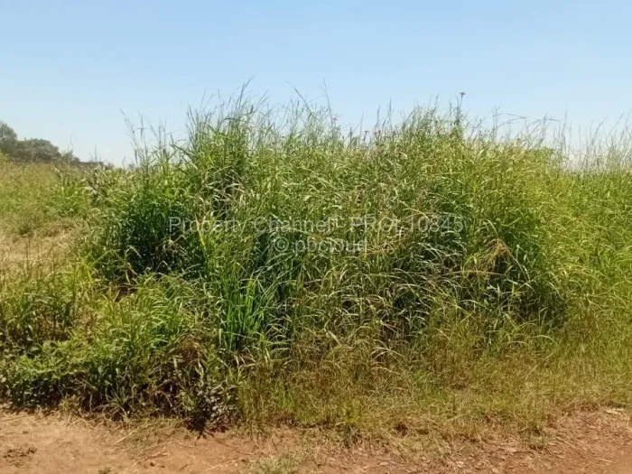 Stand for Sale in Haydon Park, Mazowe