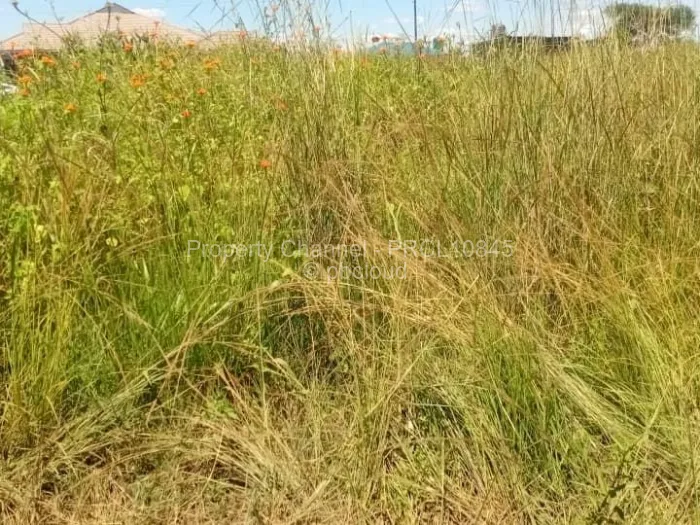 Stand for Sale in Haydon Park, Mazowe