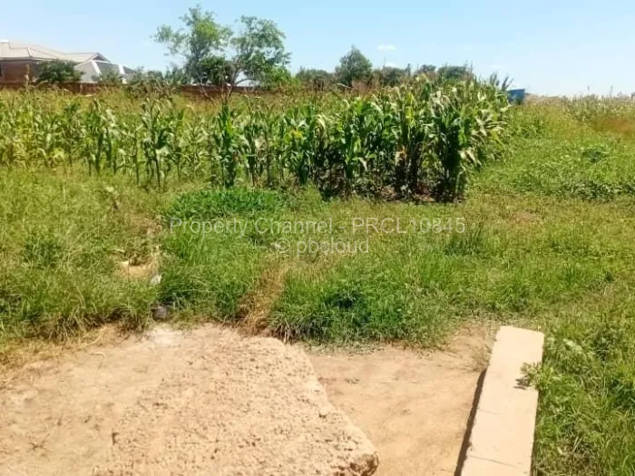 Stand for Sale in Haydon Park, Mazowe