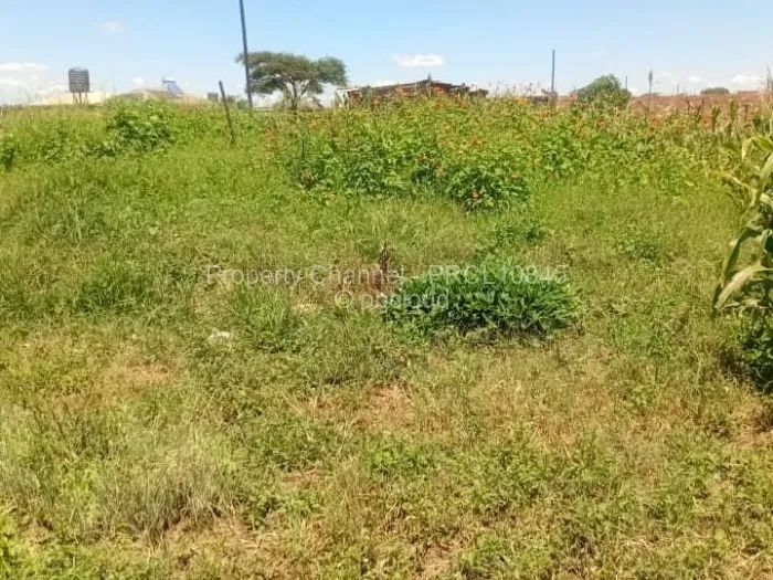 Stand for Sale in Haydon Park, Mazowe