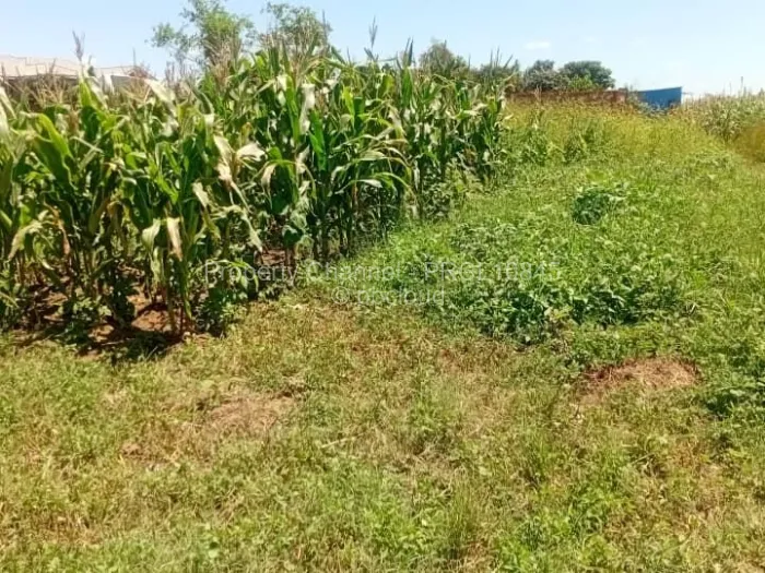 Stand for Sale in Haydon Park, Mazowe