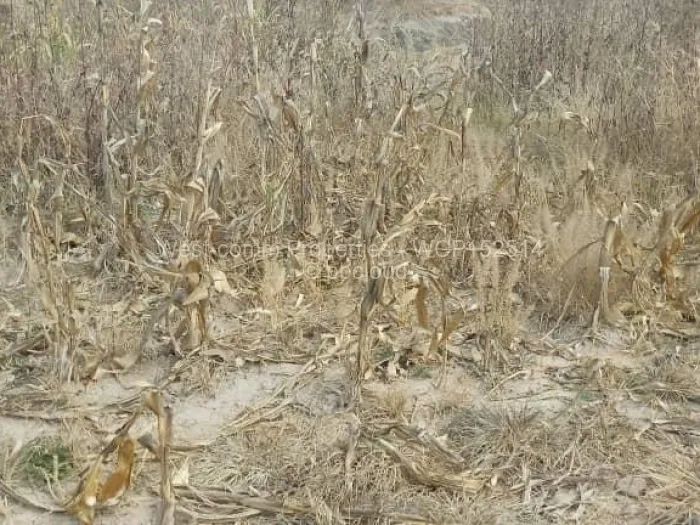 Residential Stand for Sale in Damofalls, Damofalls