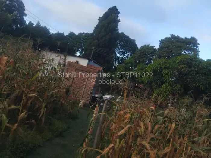 4 Bedroom House for Sale in Marlborough, Harare