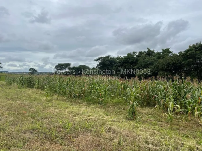 Farm for Sale in Glen Forest, Harare