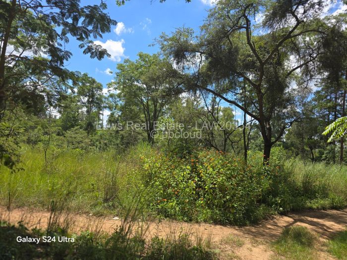 Farm/Plot for Sale in Borrowdale, Harare