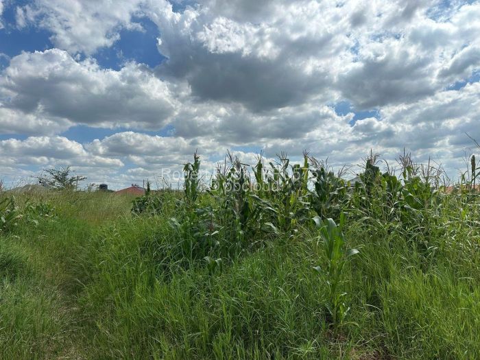Residential Stand for Sale in Haydon Park, Mazowe
