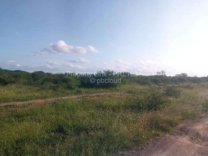 Farm/Plot for Sale in Gumtree, Bulawayo