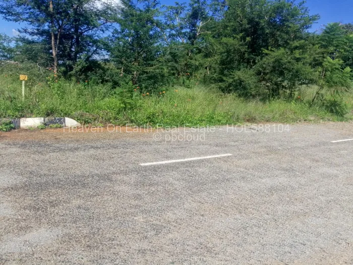Stand for Sale in Cold Comfort, Harare