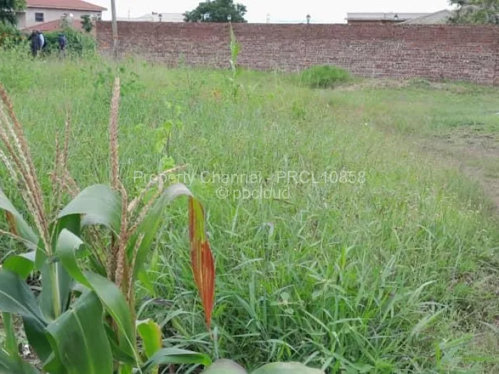 Stand for Sale in Borrowdale, Harare