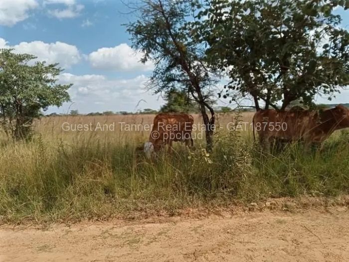 Farm/Plot for Sale in Beatrice, Beatrice