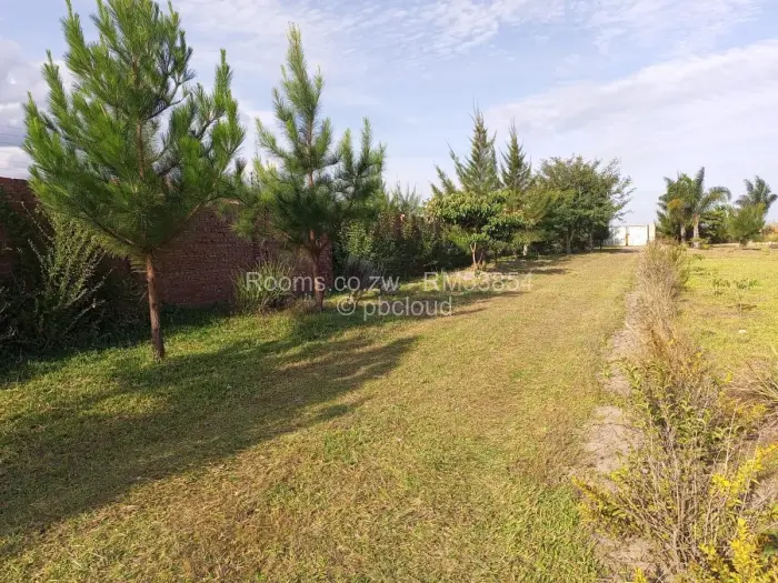 Room to Rent in Ruwa, Ruwa