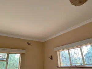 4 Bedroom House to Rent in Alexandra Park