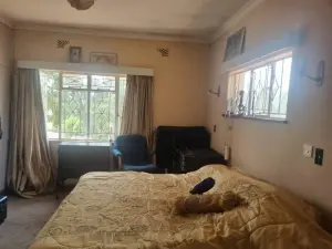 4 Bedroom House to Rent in Alexandra Park